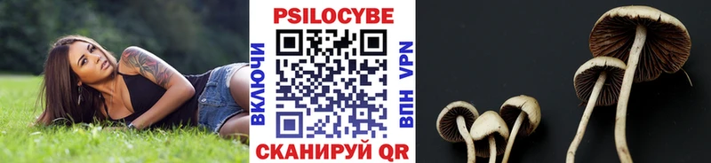 Галлюциногенные грибы GOLDEN TEACHER Крымск